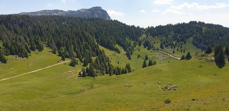 Vue sur le chalet de l'Anglettaz