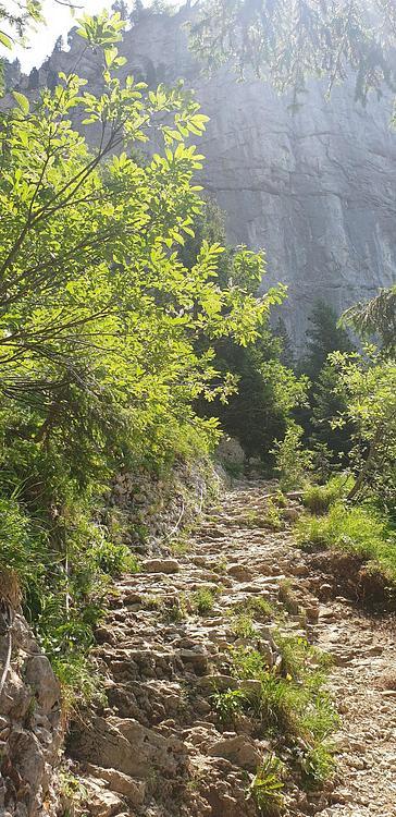 Début de la montée vers le Parmelan par le Grand Montoir