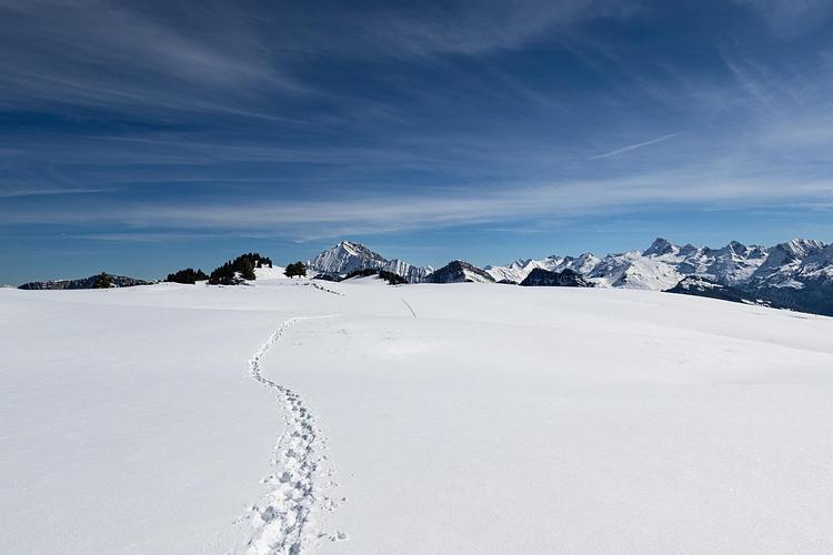 Chemin vers le Chalet des Auges