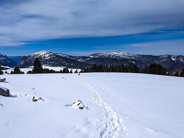 Retour vers le Plan du Loup