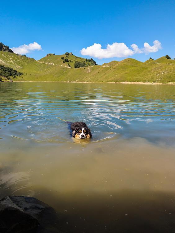 Lago Lessy
