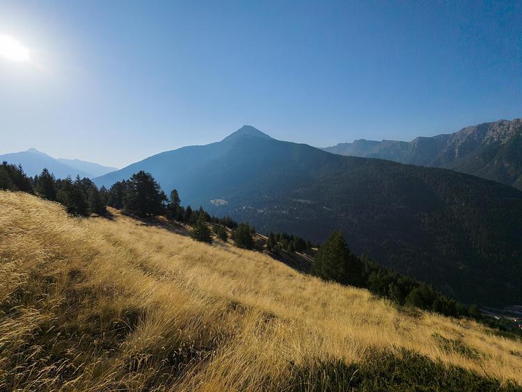 La montée dans les champs
