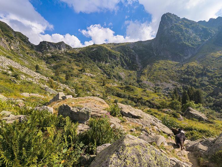Die Schwierigkeit und der Höhenunterschied beginnt nach dem Wald