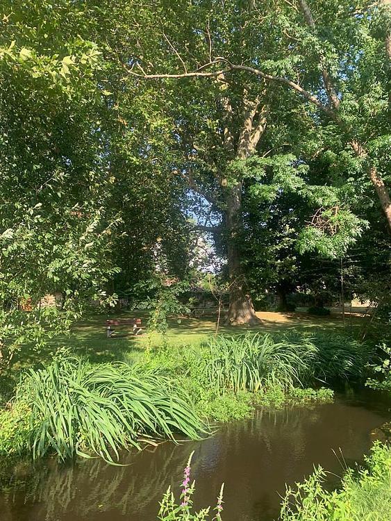 Théâtre de verdure à proximité de la piscine