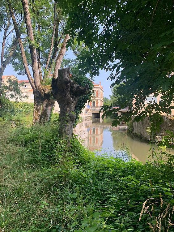 Les Bords de Seugne