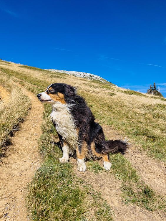 Strong wind on the ascent of Grande Sure
