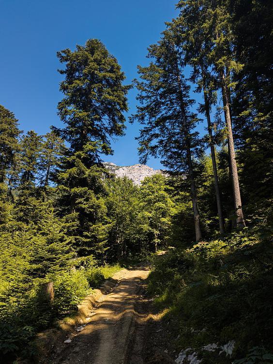 Vue sur le Parmelan depuis le chemin de montée