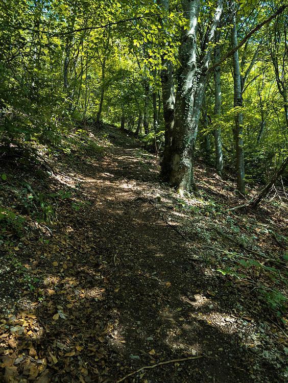 La dernière montée avant le Mont Charvaz