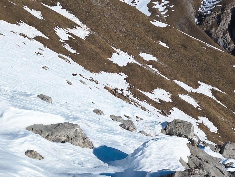 Crêt des Mouches depuis Plan-Montmin