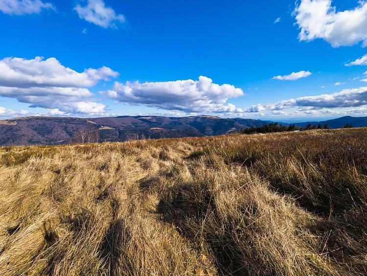 Vista dalla cima del Grand Ventron