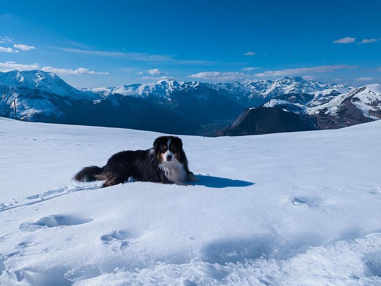 Les 2 Alpes - Vallée Blanche