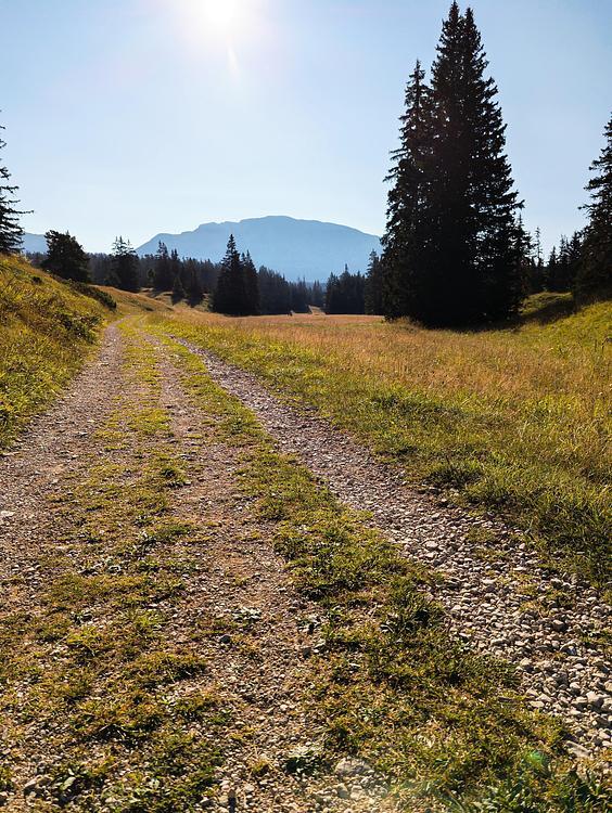 Première partie du chemin : facile et peu de dénivelé