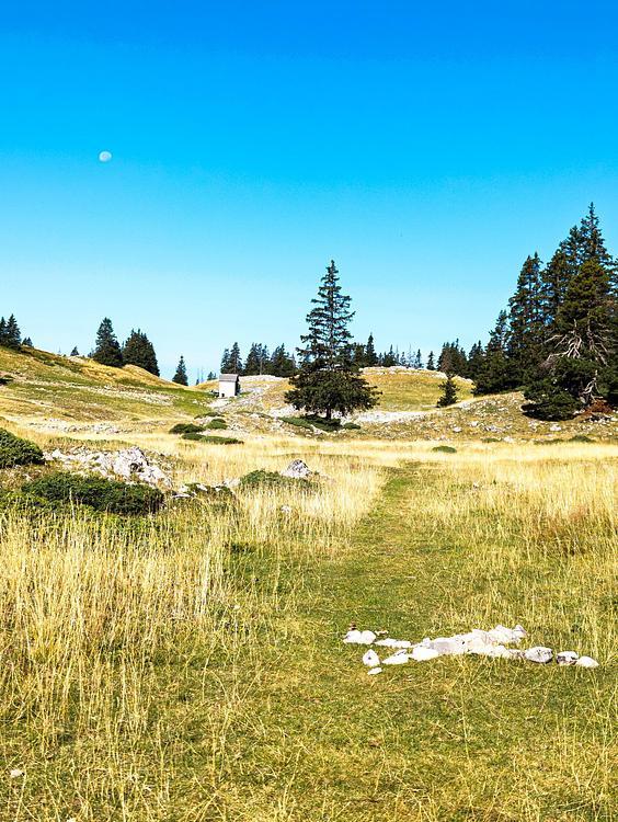 Petite cabane isolé sur les Hauts Plateaux