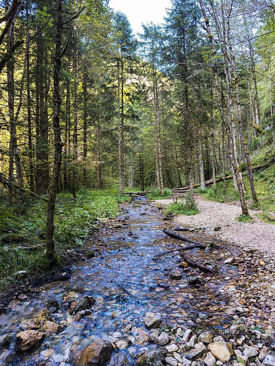 Le début du parcours longeant la rivière