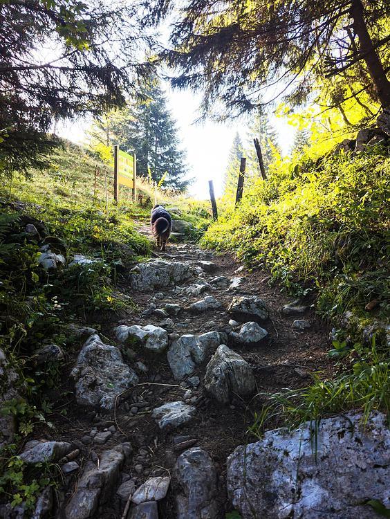 L'arrivée au col du Pertius