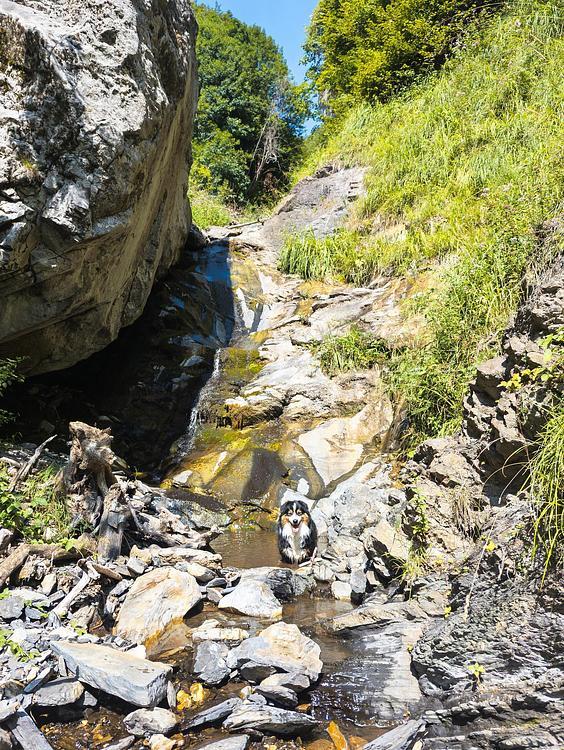Une rivière bienvenue !
