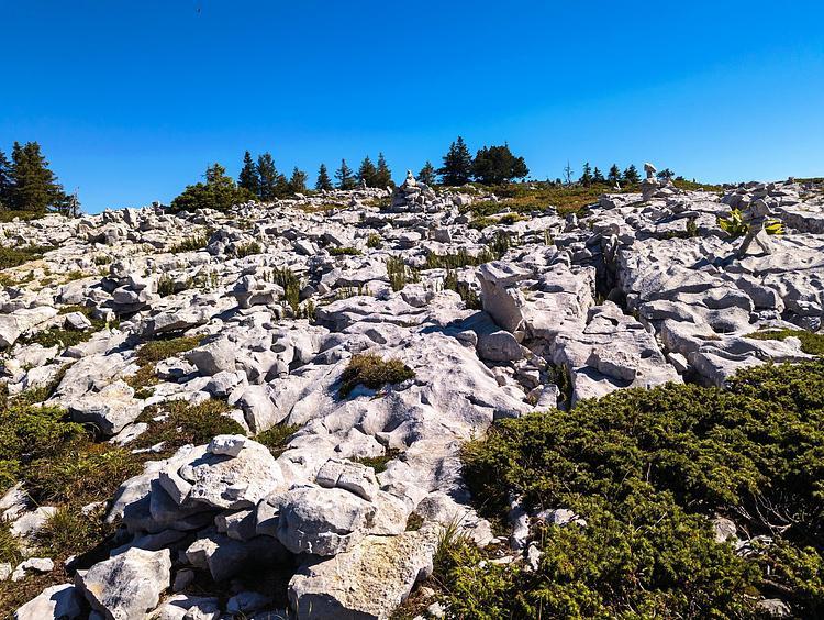 Un des nombreux lapiaz dans la montée mais facile à franchir