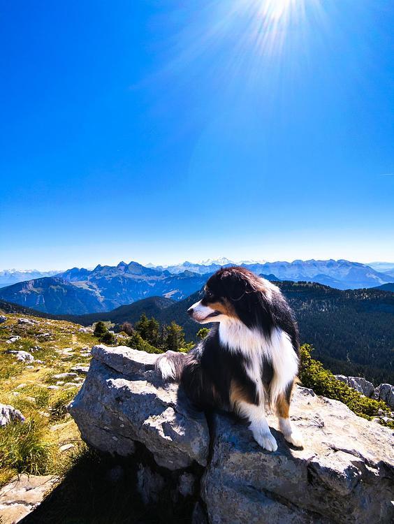 Une autre vue du Mont-Blanc