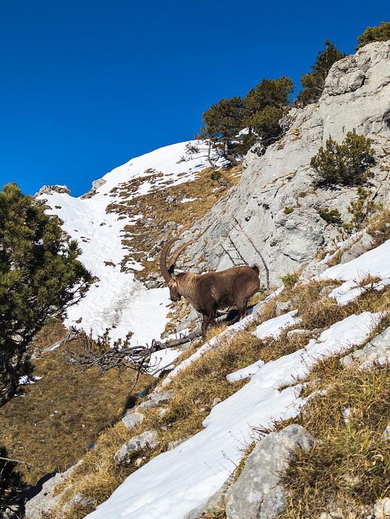 Pas de l'Aulp depuis Montremont dans la neige
