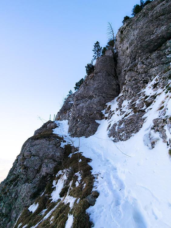 Tête du Parmelan depuis le bois brûlé dans la neige