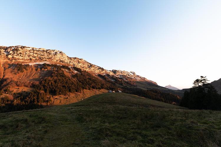 Bornette Col Farm