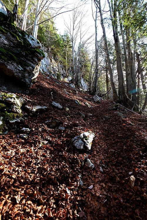 Chemin le long de la falaise pour rejoindre le Col de la Frasse