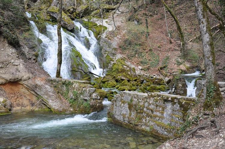 Source de l'Allondon