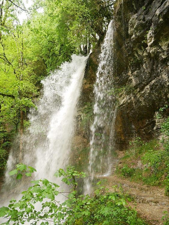 Cascade de pisse-vache