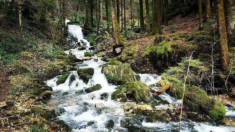 Cascade de la source de l'Anguillon