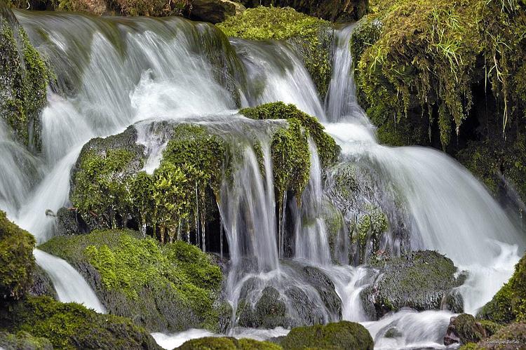 Source de la Doue