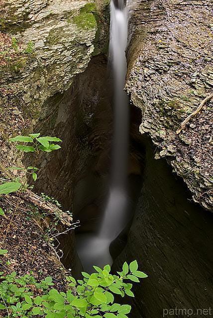 Tine de Parnant