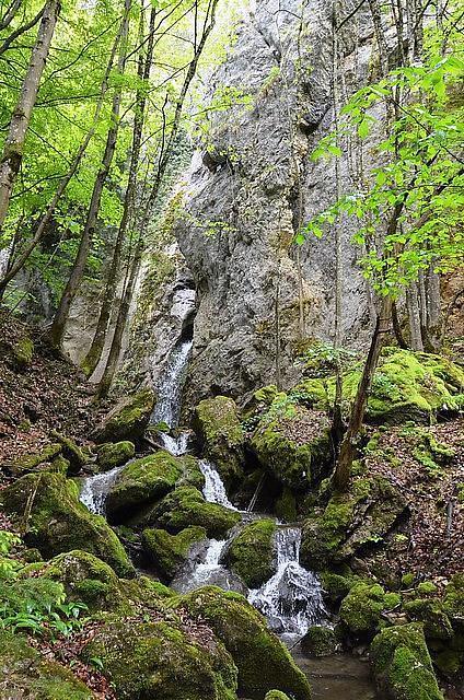 Cascades de Gunsberg