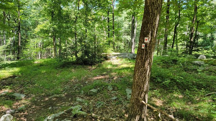 Arden-Surebridge Trail marker