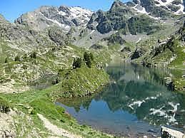 lac longet