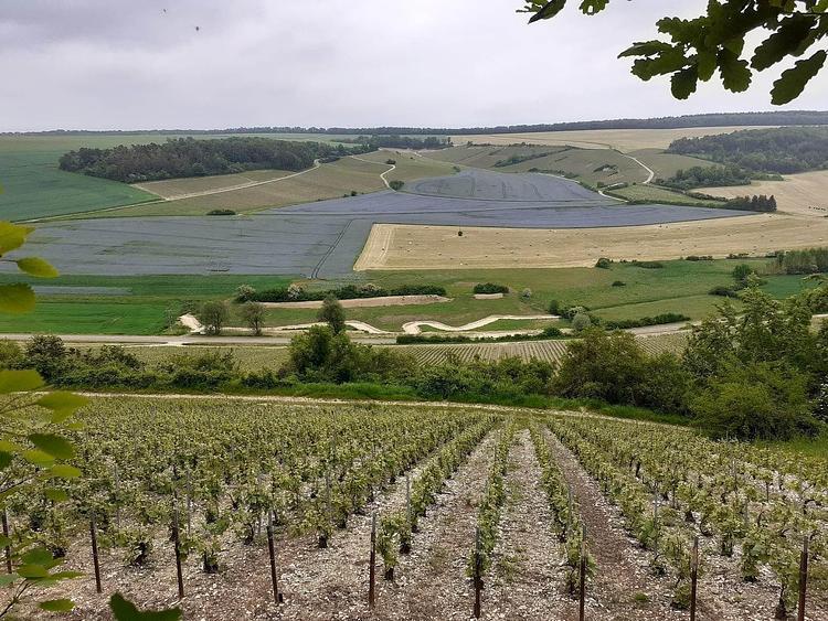 Couvignon - Val Perdu - Couvignon