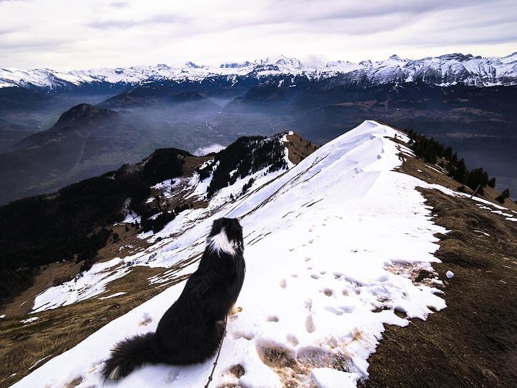 Vue sur les Alpes depuis le Mole