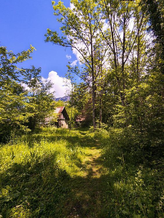 Chartreuse : Le sentier du Cozon