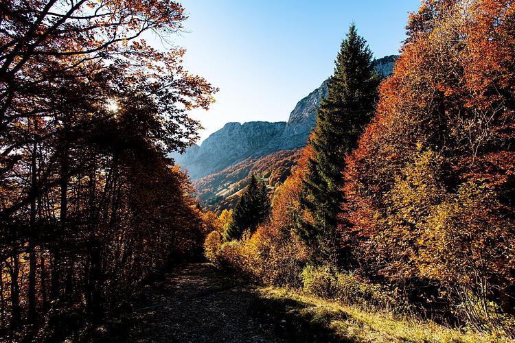 Descente vers le hameau