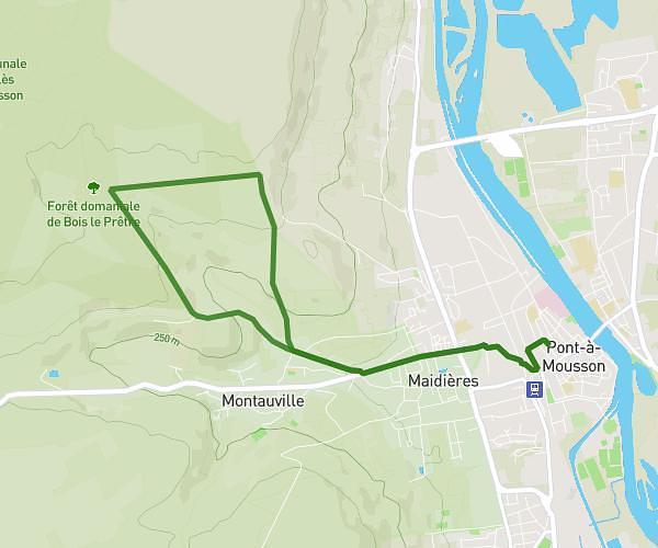 Forêt 10km