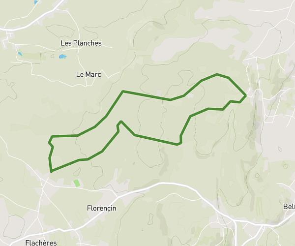 Forêt entre Flachères et Biol