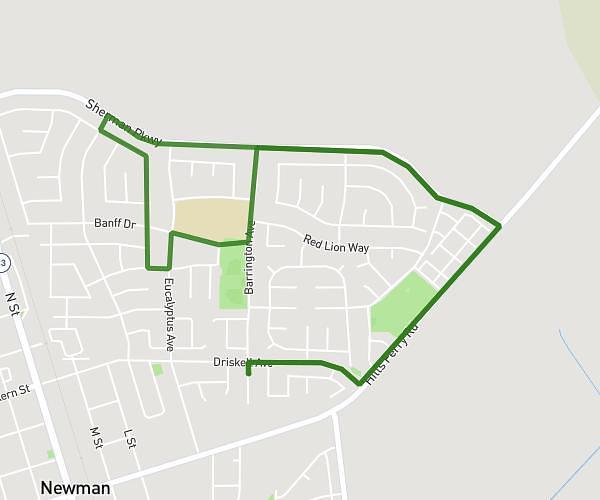 My walk
