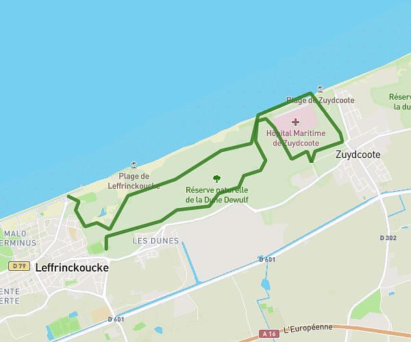 DUNES DEWULF