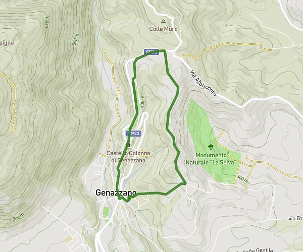 Genazzano - tutti i monumenti in un'ora