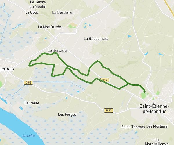 1er essais