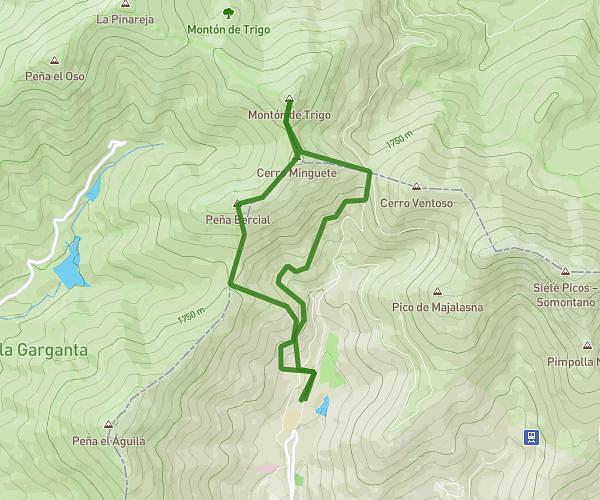 Ruta Viernes 25 Julio: Dehesas- Marichiva-Minguete- Trigo-fuenfria