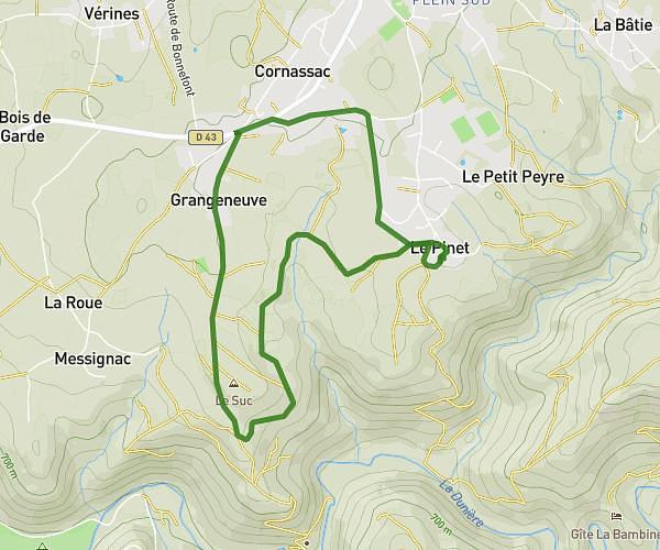 Ruche 5 km