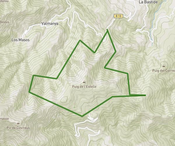 Palomere