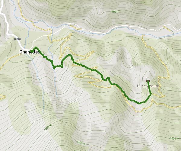 l'ichtyosaure du Cheval Blanc
