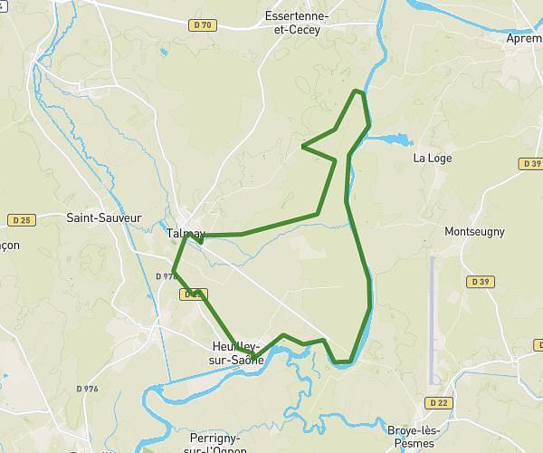 Semi marathon de la bière