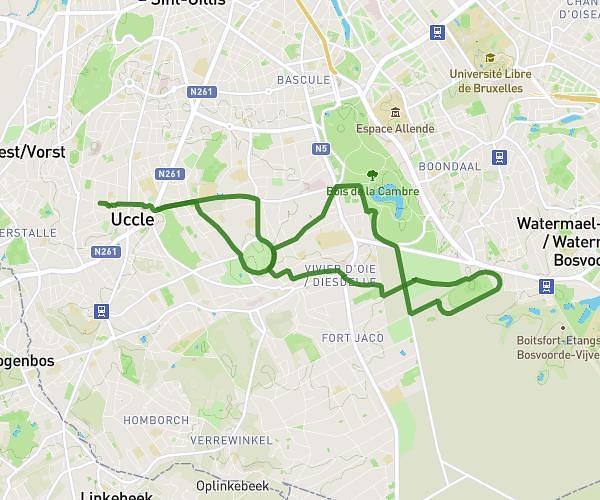 13 K training